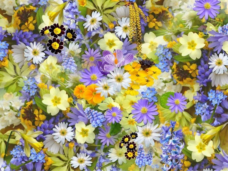 Equinoccio de primavera