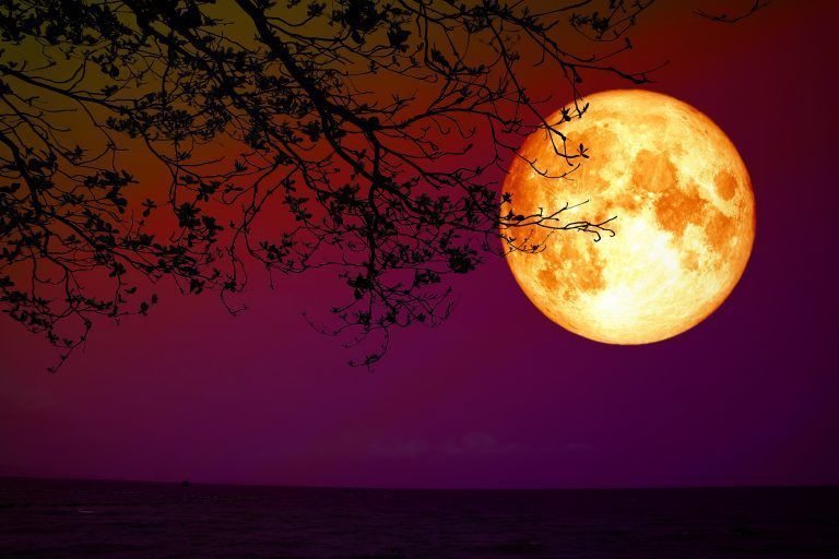 Ritual del Eclipse de la Luna de Fresa.