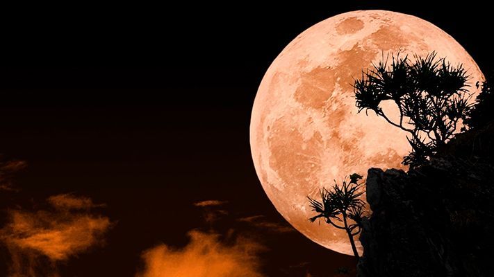 Luna-llena-ciervo