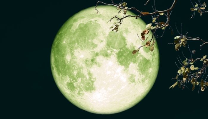 luna-llena-esturion